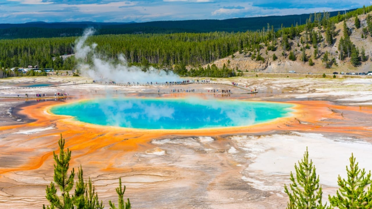 Yellowstone Video Exposes Tourists Unruly Behavior: 'People get more ...