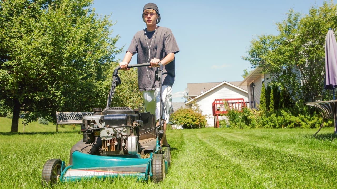 teen cutting grass lawn s1062466436